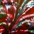 ChristineAwad